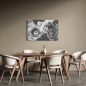 Kép - Rózsa, fekete-fehér (90x60 cm)