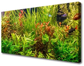 Vászonkép Akváriumi halak Növények 100x50 cm