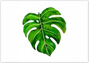 Poszterek A4 Szint Modern levél kép