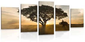 5 részes kép elefánt napkeltével