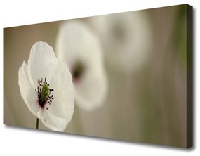 Vászonkép nyomtatás Természet virág növény 125x50 cm