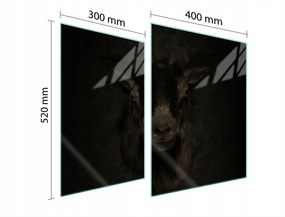 Üveg Tűzhelyvédő Főzőlap 70x52 Kecske Edzett Üveg