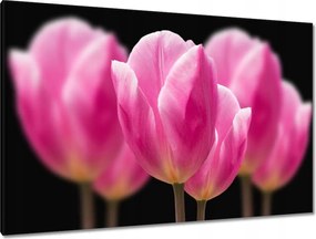 Vászonkép 120x80 Tulipánok Virágok