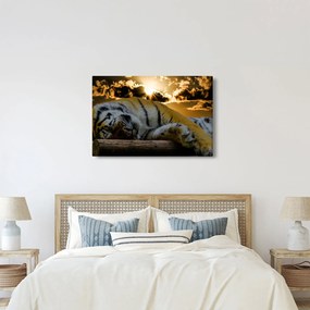 Alvó tigris képe (90x60 cm)