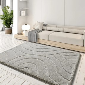 Világosszürke szőnyeg 160x230 cm Molier – Universal
