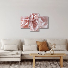 Kép - Virág részlete (90x60 cm)