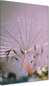 Vászonkép 80x120 Pitypang pitypang