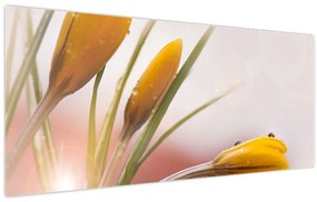 Kép - Tavaszi virágok (120x50 cm)