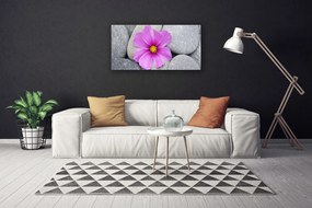Vászonfotó Spa virág növény 125x50 cm