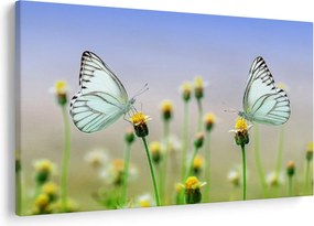 Pillangók eképe a virágon (90x60 cm)