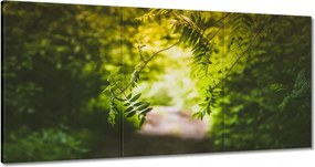Vászonkép 120x60 Zöld levelek Levelek