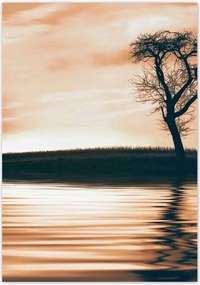 Poszterek 70x100 Fa a szigeten