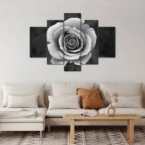 Egy rózsa képe (150x105 cm)
