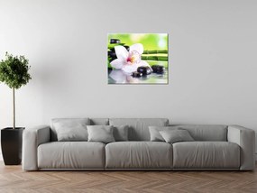 Gario Vászonkép Fehér orchidea és kövek Méret: 100 x 70 cm