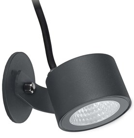 Moss kültéri fali spotlámpa