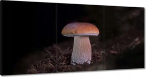 Vászonkép 180x90 A gombák királya