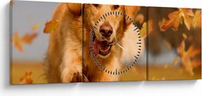 Kép - Golden Retriever (órával) (90x30 cm)