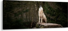 Kép - A farkas üvöltése (120x50 cm)