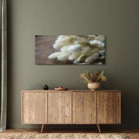 Kép - Nyuszi Farok (120x50 cm)
