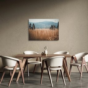 Kép - réti növényzet részlete (üvegen) (70x50 cm)