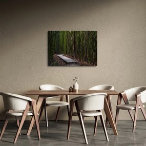 Kép - A bambuszok között (70x50 cm)