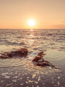 Poszter 60x80cm Naplemente a tengerparton, Assaf Frank