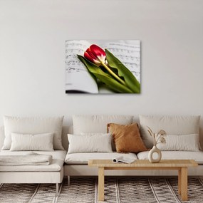 Egy vörös tulipán képe (70x50 cm)