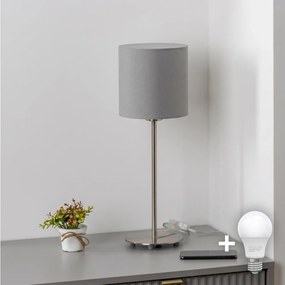 Brilagi - LED asztali lámpa NUBILA 1xE27/60W/230V világosszürke