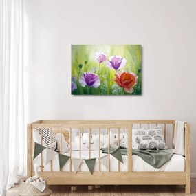 Kép - Pipacsok (üvegen) (70x50 cm)