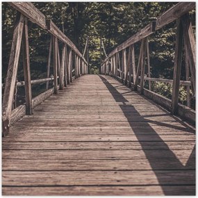 Poszterek 70x70 Fa híd