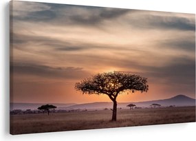Naplemente képe Tanzániában (90x60 cm)