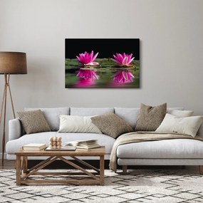 A tavirózsa képe a vízen (90x60 cm)