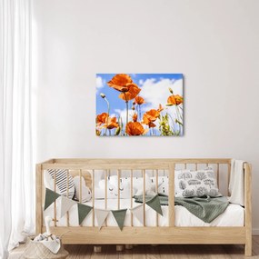 Pipacsok képe (70x50 cm)