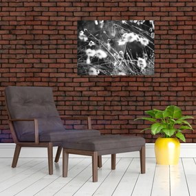 Kép - Pókháló a réten (70x50 cm)