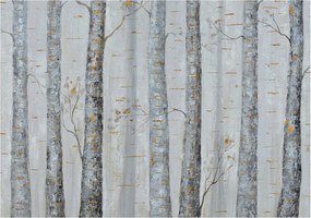 Dekoratív fotótapéta falra Könnyű összeszerelés Nyírfa 312x219 Ragasztó