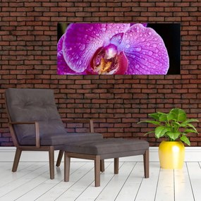 Részletes kép az orchidea virágról (120x50 cm)