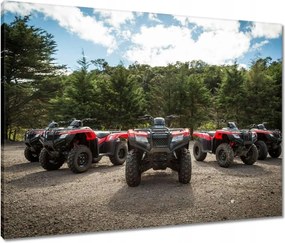Vászonkép 80x60 Quad Négy kerék Terep