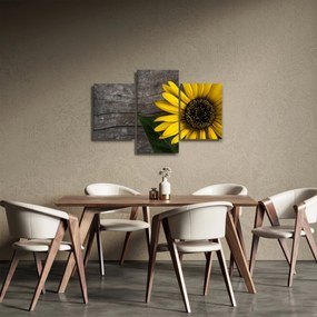 Kép - Napraforgó virága (90x60 cm)