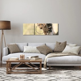 Egy oroszlán kölyök képe (órával) (90x30 cm)