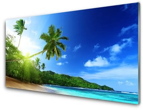 Fali üvegkép Palm Beach Sea Landscape 120x60cm