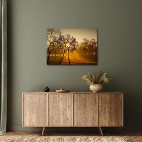 Kép - Napkelte (70x50 cm)