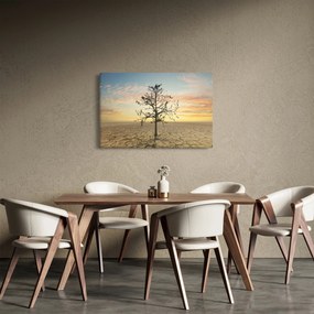 Kép - fa a sivatagban (90x60 cm)