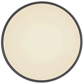 Globo 41587-24 - SONNY LED 24W mennyezeti dimmer, távirányítóval