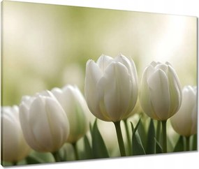 Vászonkép 80x60 Fehér tulipánok