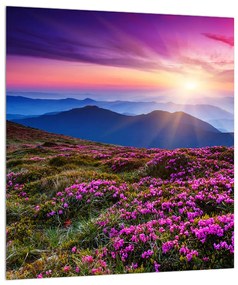 Virágzó hegyi tájkép (30x30 cm)