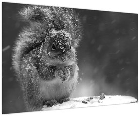 Kép - Mókus télen (90x60 cm)