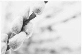 Kép - A tavasz kezdete (90x60 cm)