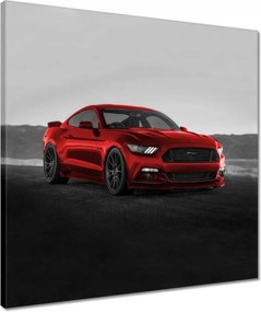 Vászonkép 50x50 Véres fenevad Ford Auto