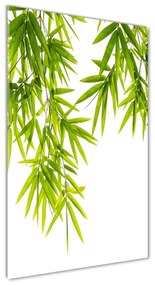 Egyedi üvegkép Bambusz levelek osv-81471407