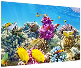 Kép - A tenger világa (90x60 cm)